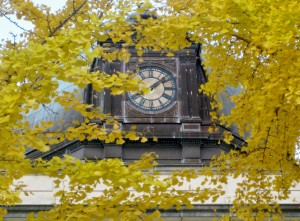 Owen County's dome in the fall